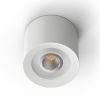 Loxone LED Aufbauspot RGBW Tree in Weiß – moderne Deckenleuchte für akzentuierte Beleuchtung in Smart Homes, fachgerecht installiert durch Elektro Maschler
